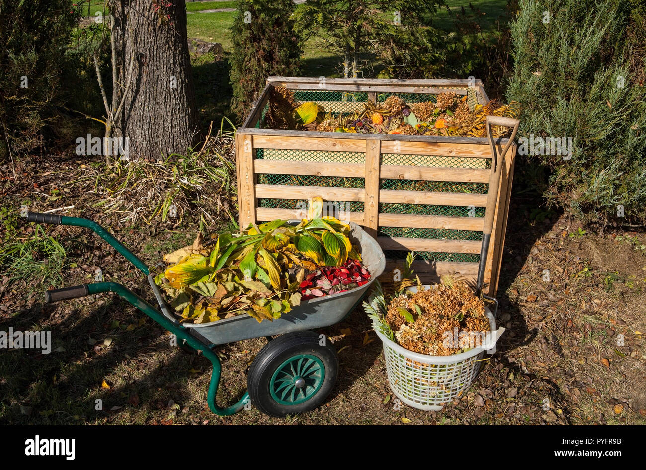 Bild der Komposttonne im Herbst Garten Stockfoto