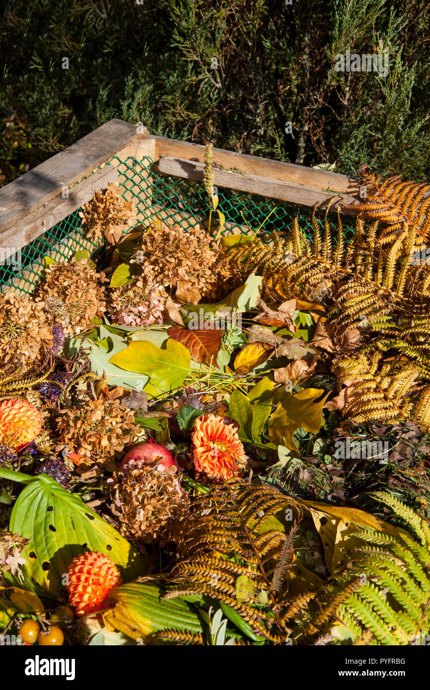 Bild der Komposttonne im Herbst Garten Stockfoto