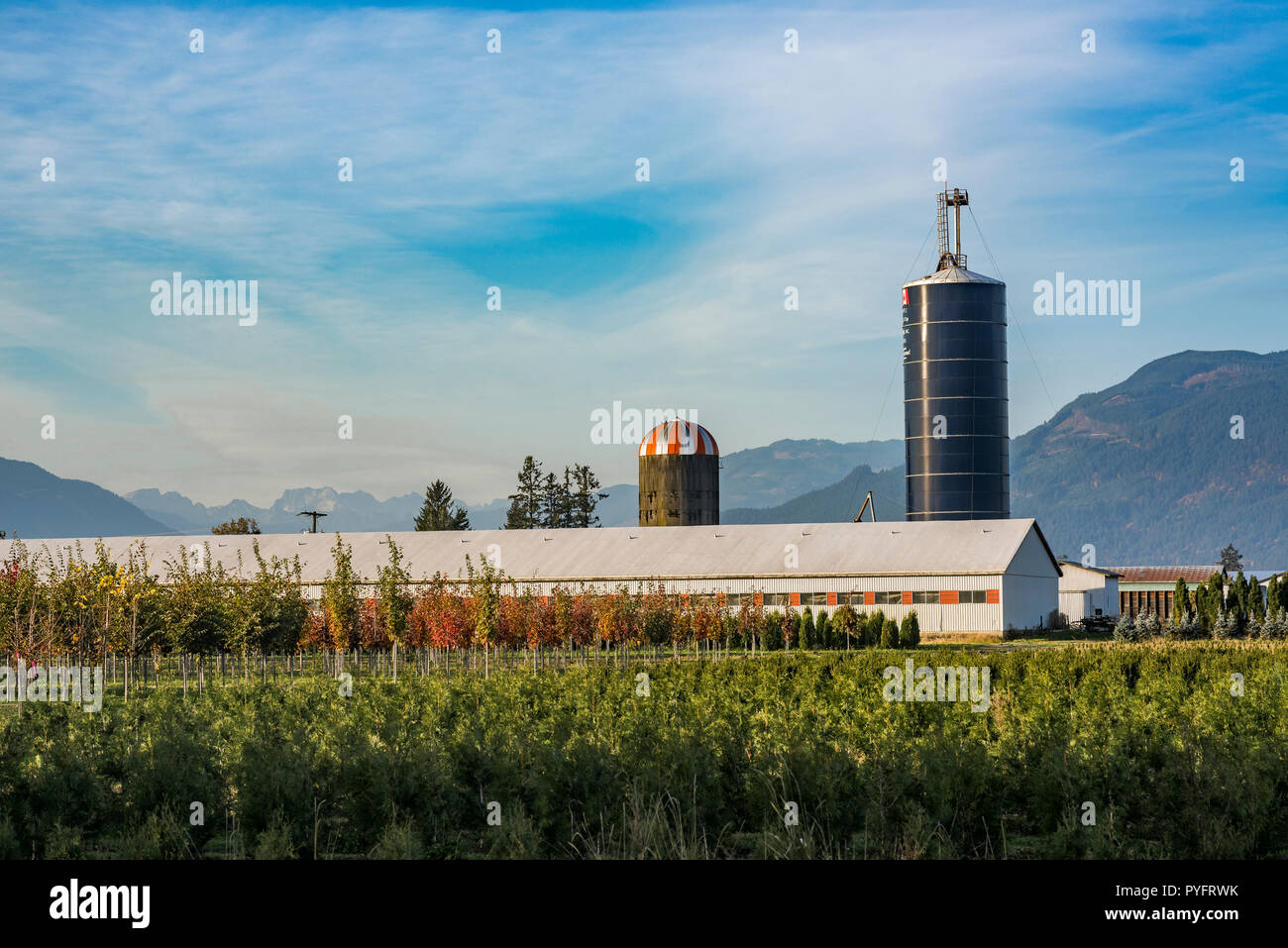 Bauernhof, Chilliwack, British Columbia, Kanada Stockfoto