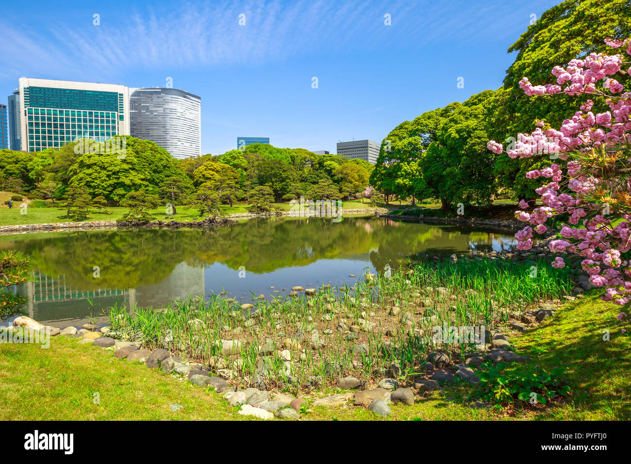 Moderne Wolkenkratzer von Shiodome in Shimbashi Bezirk Reflexion in Hamarikyu See. Hama-rikyu, eine große, attraktive Landschaft Garten in Tokio, Chuo Bezirk, Sumida River, Japan. Stockfoto