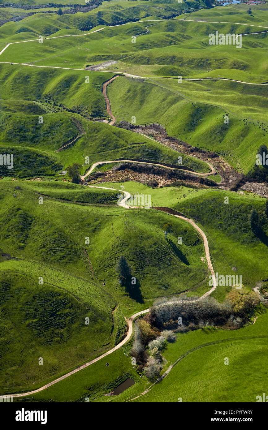 Ackerland in der Nähe von Rotorua, North Island, Neuseeland - Antenne Stockfoto