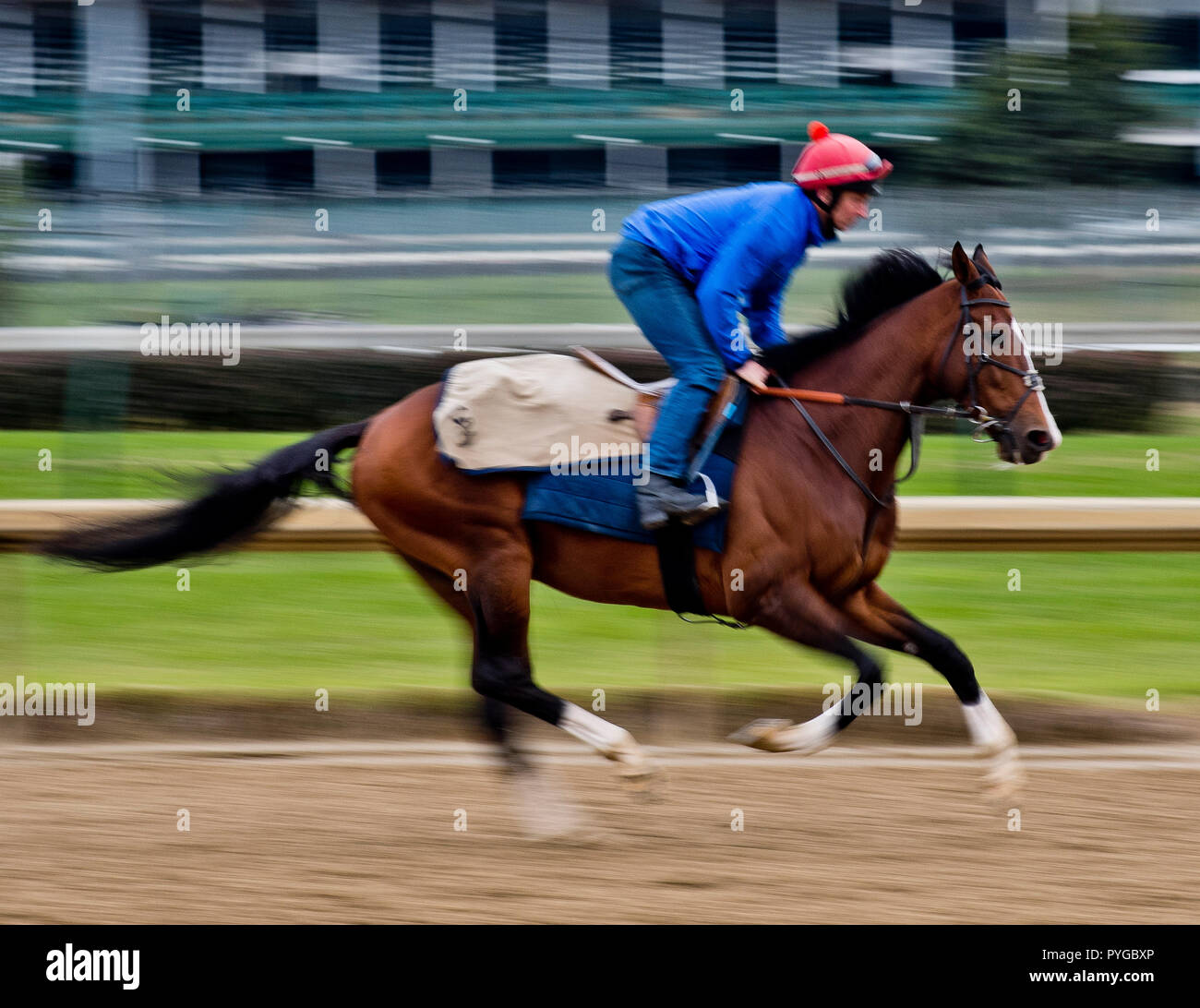 Louisville, Kentucky, USA. 25 Okt, 2018. Toast von New York, ausgebildet von Jamie Osborne, Übungen in der Vorbereitung für den Breeders' Cup Classic in der Churchill Downs. Credit: Csm/Alamy leben Nachrichten Stockfoto