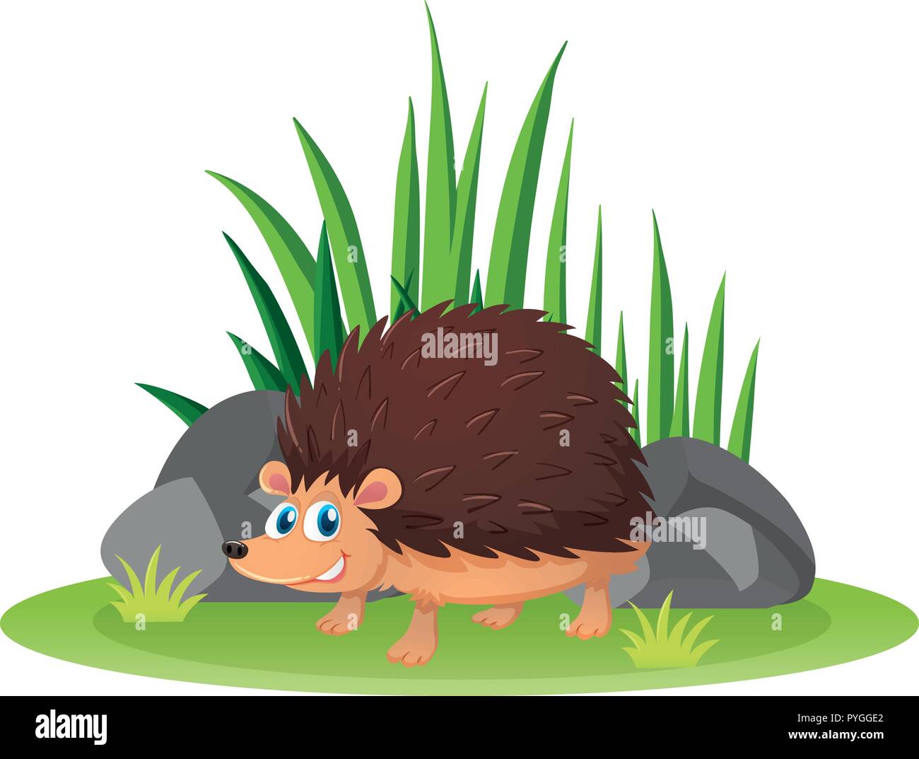 Garten igel kaufen Alamy