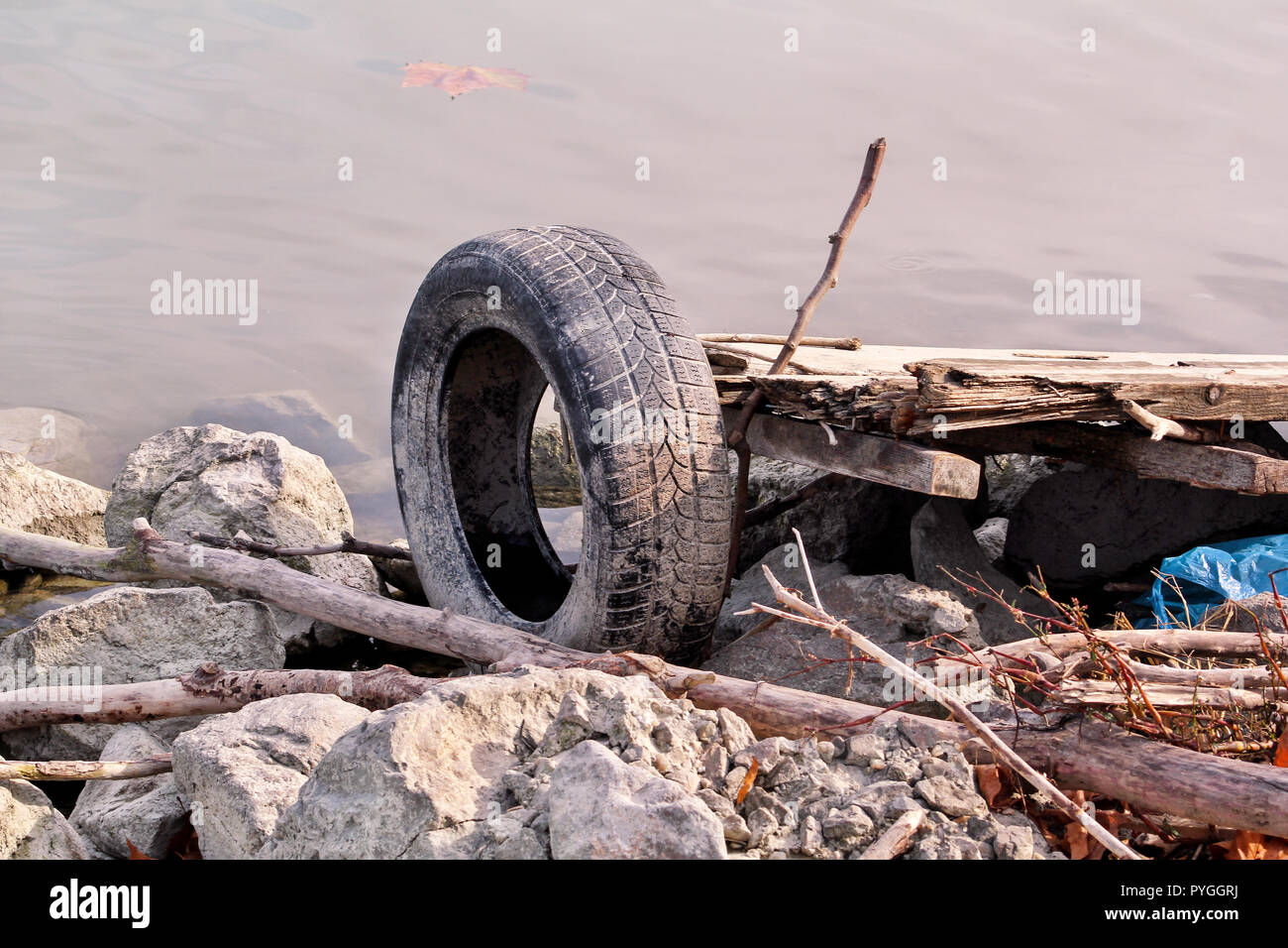 Gebrauchtwagen Reifen links in der Natur. Alte gebrauchte Autoreifen links  durch Kosten für Wasser geworfen. Das Problem der Müll am Strand Fluss  durch den Menschen - Umweltverschmutzung verursacht Stockfotografie - Alamy