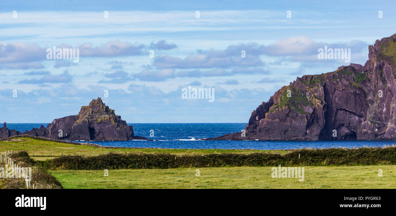 Felsige Klippen entlang der irischen Küste auf der Halbinsel Dingle, Kerry, Irland Stockfoto