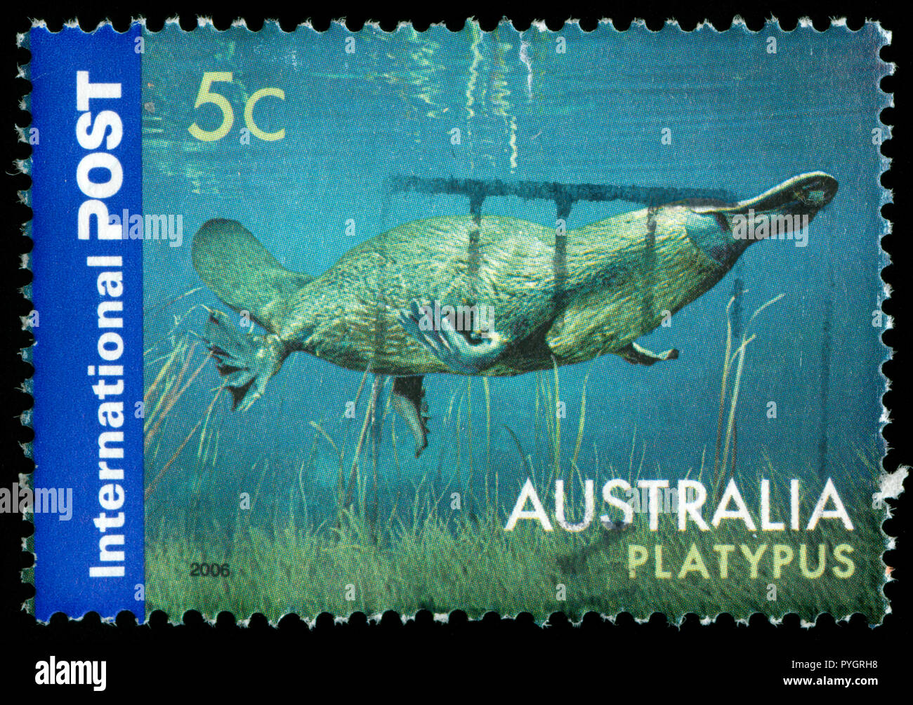 Poststempel Stempel aus Australien in die Fauna Serie in 2006. Stockfoto