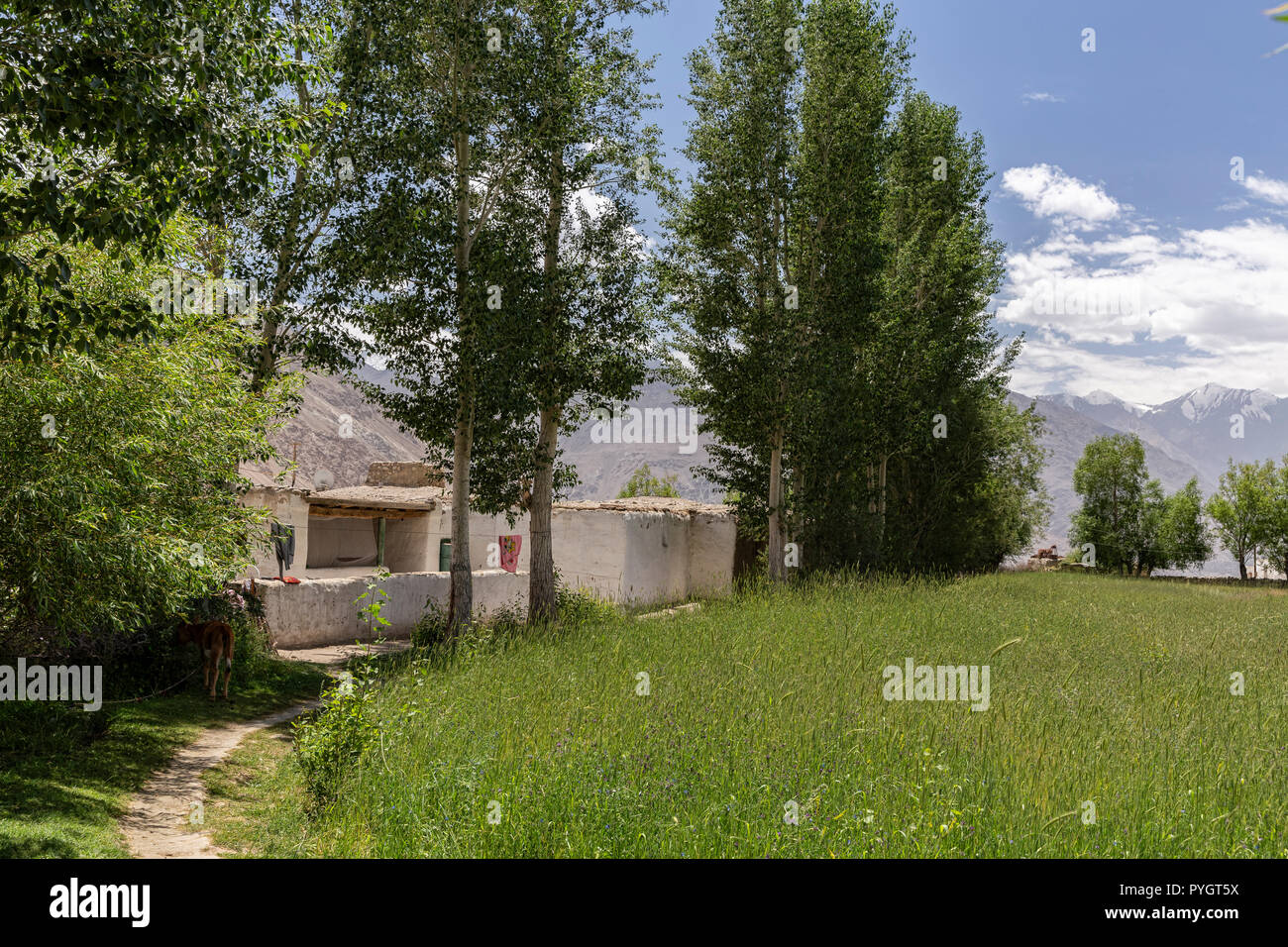 Weiß Pamiri Häuser in der Nähe der tadschikischen Wakhan Langar und Pamir Fluss, Pamir Highway, Pamir, Tadschikistan Stockfoto