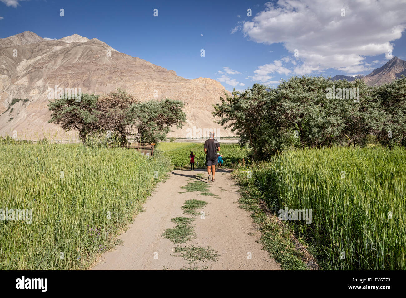 Trekker Spaziergang durch Weizenfelder in Langar mit Terminus der Afghanischen Pamir im Hintergrund, Langar, Wakhan Valley, Tadschikistan Stockfoto