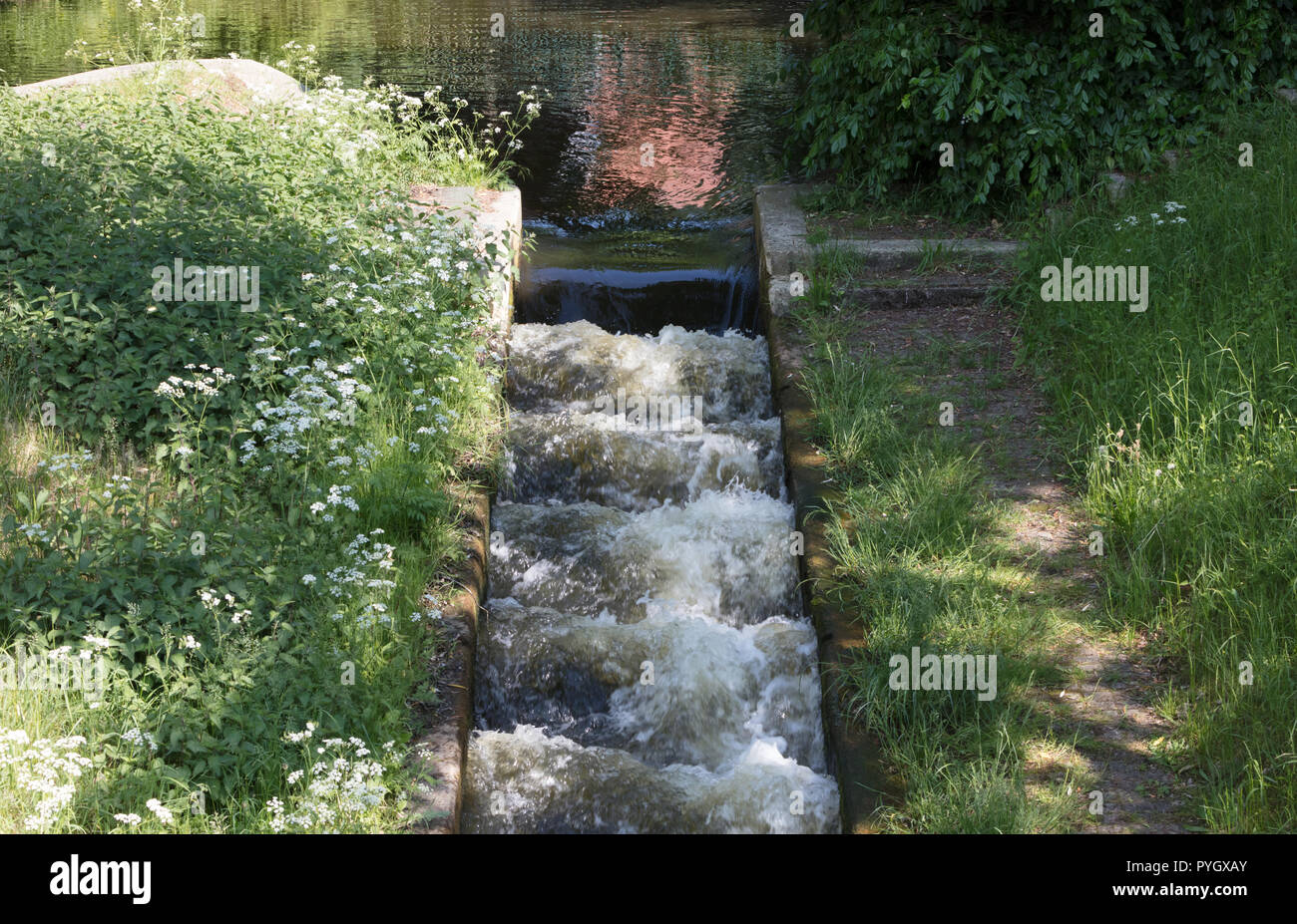 Kleinen künstlichen Bach im Sommer - Deutschland Stockfoto