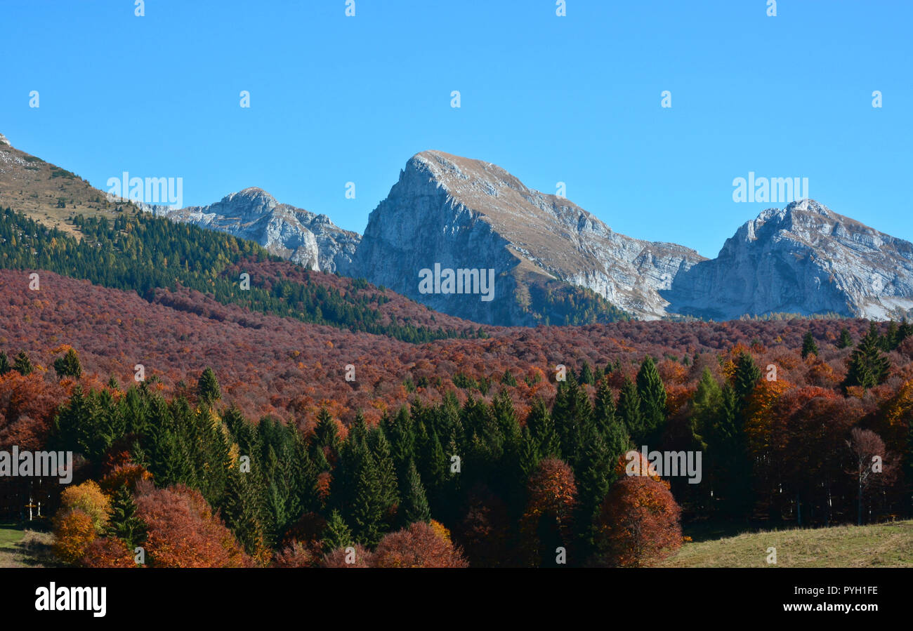 Ein Bunter Herbst Stockfoto