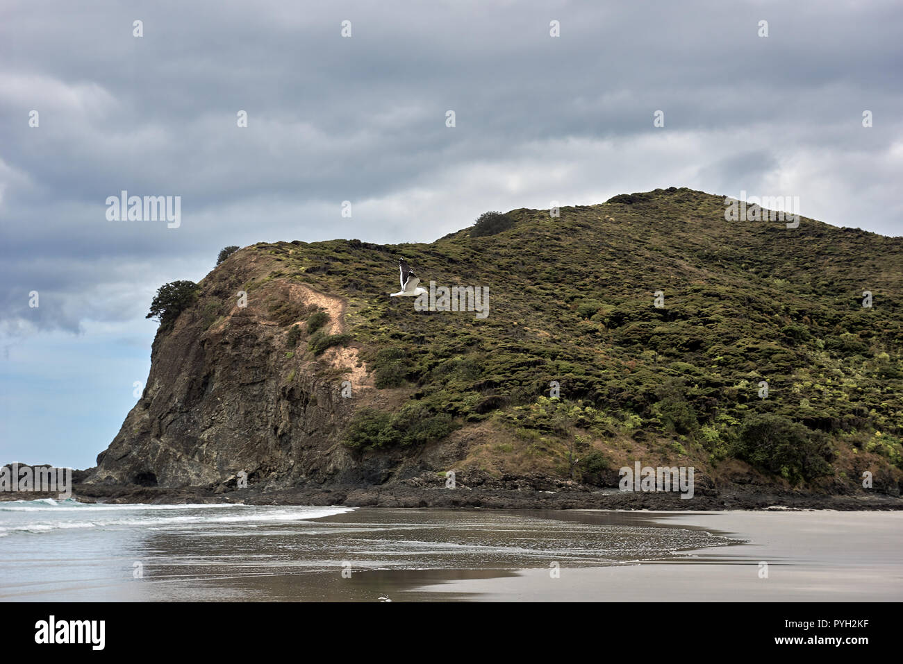 Panoramablick auf Tapotupotu Strand in Neuseeland unter einem bewölkten Himmel Stockfoto