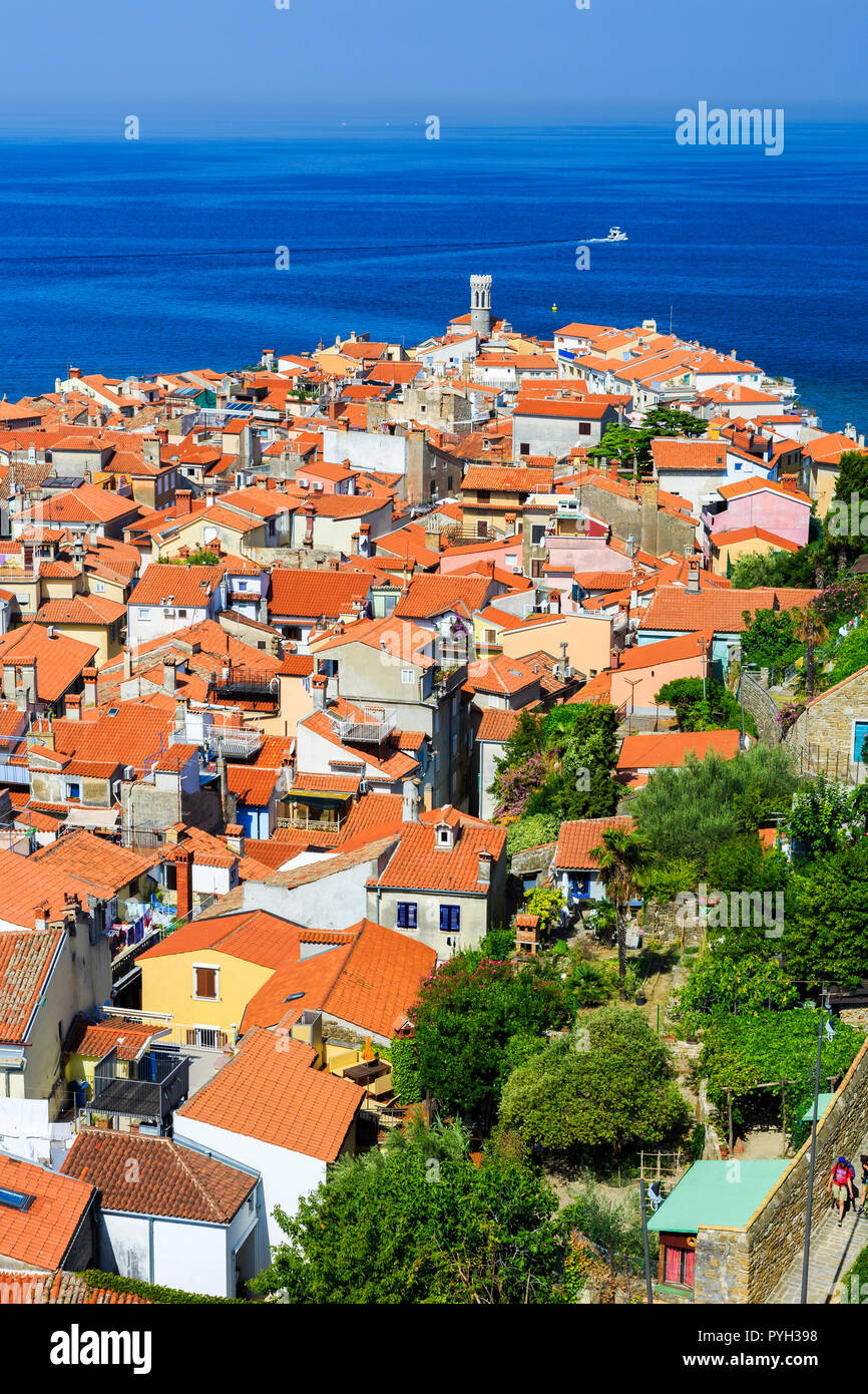 Piran. Slowenisch Istrien Region. Slowenien, Europa. Stockfoto