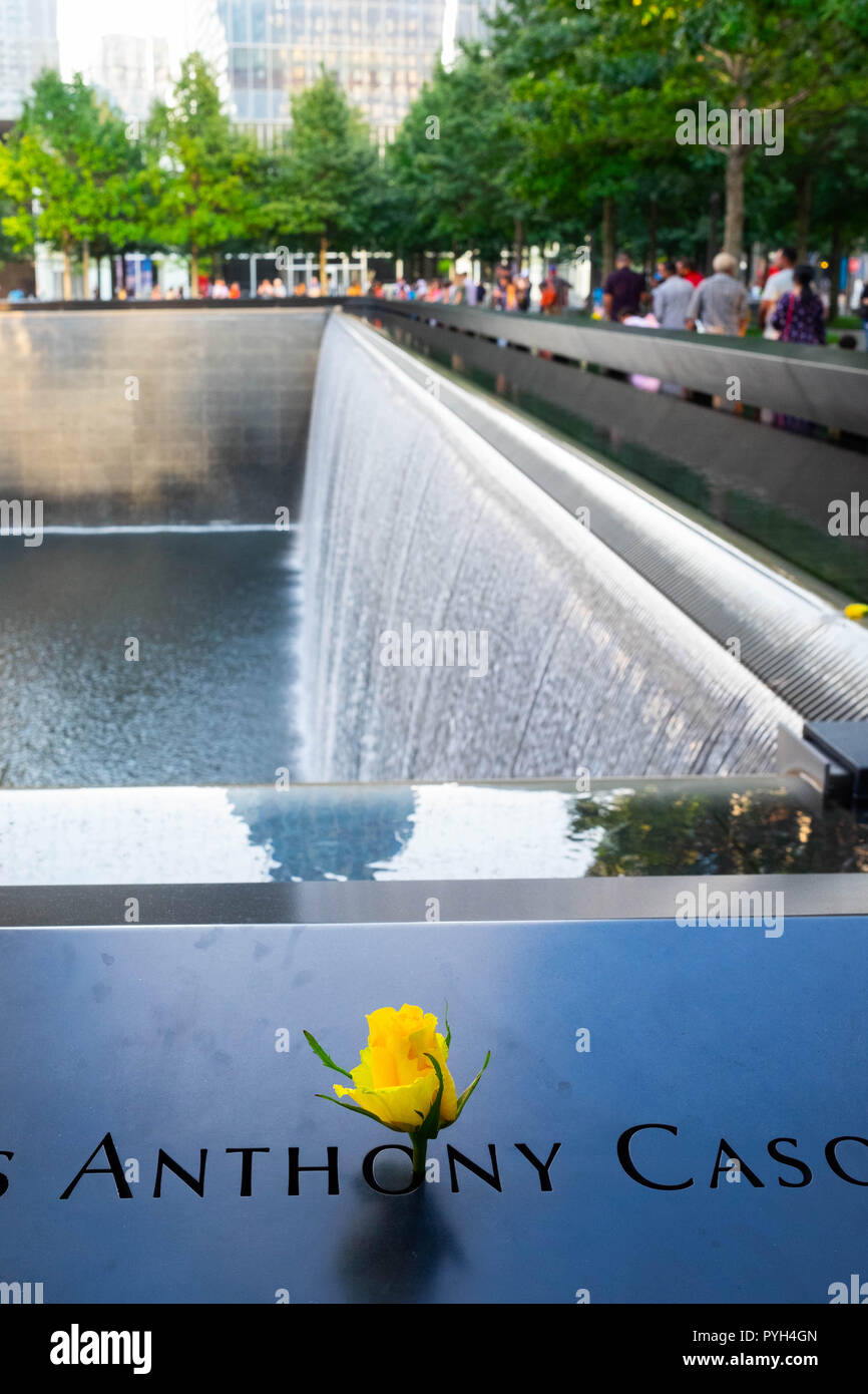 Am Veteranentag erinnert sich eine gelbe Rose an ein Opfer, das im Militär beim 9/11 World Trade Center Memorial in Lower Manhattan, New York City, diente Stockfoto