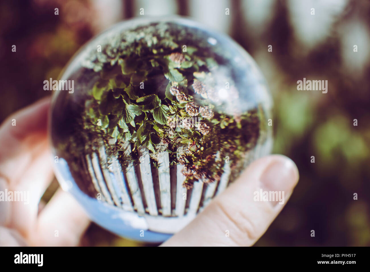 Englischer Garten durch einen Kristall Fotografie ball gesehen Stockfoto