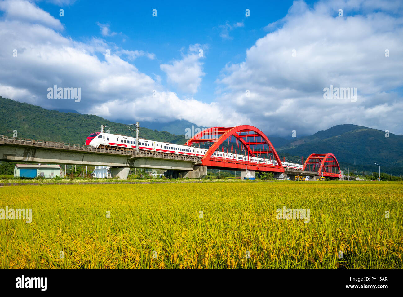 Zug auf dem Feld in yuli, hualien, Taiwan Stockfoto