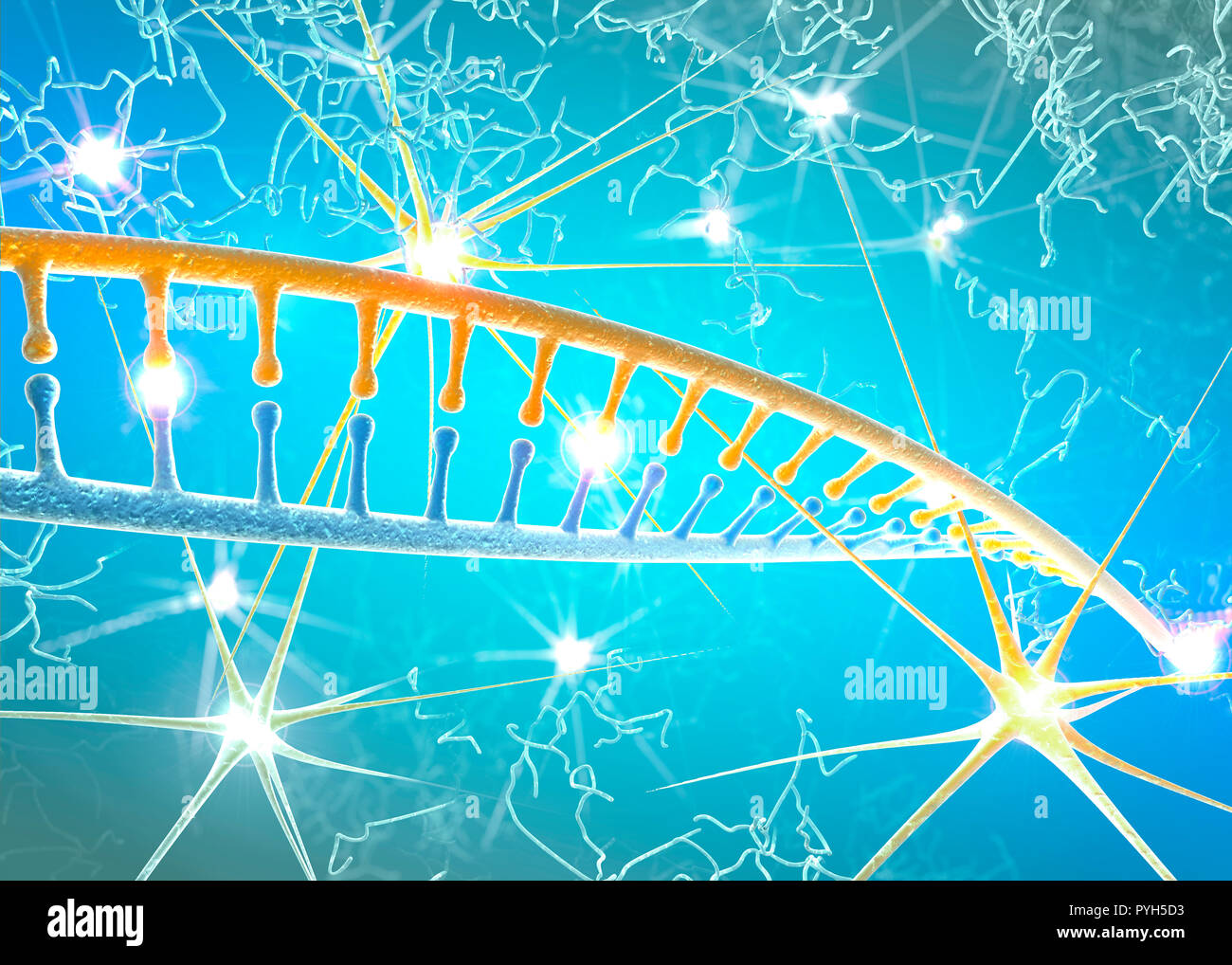 DNA und Neuronen, DNA, Umstrukturierung, umzuschreiben und kontinuierliche Regeneration, erhöhte Aktivität der Nervenzellen, Chromosomen und genetisches Material Stockfoto
