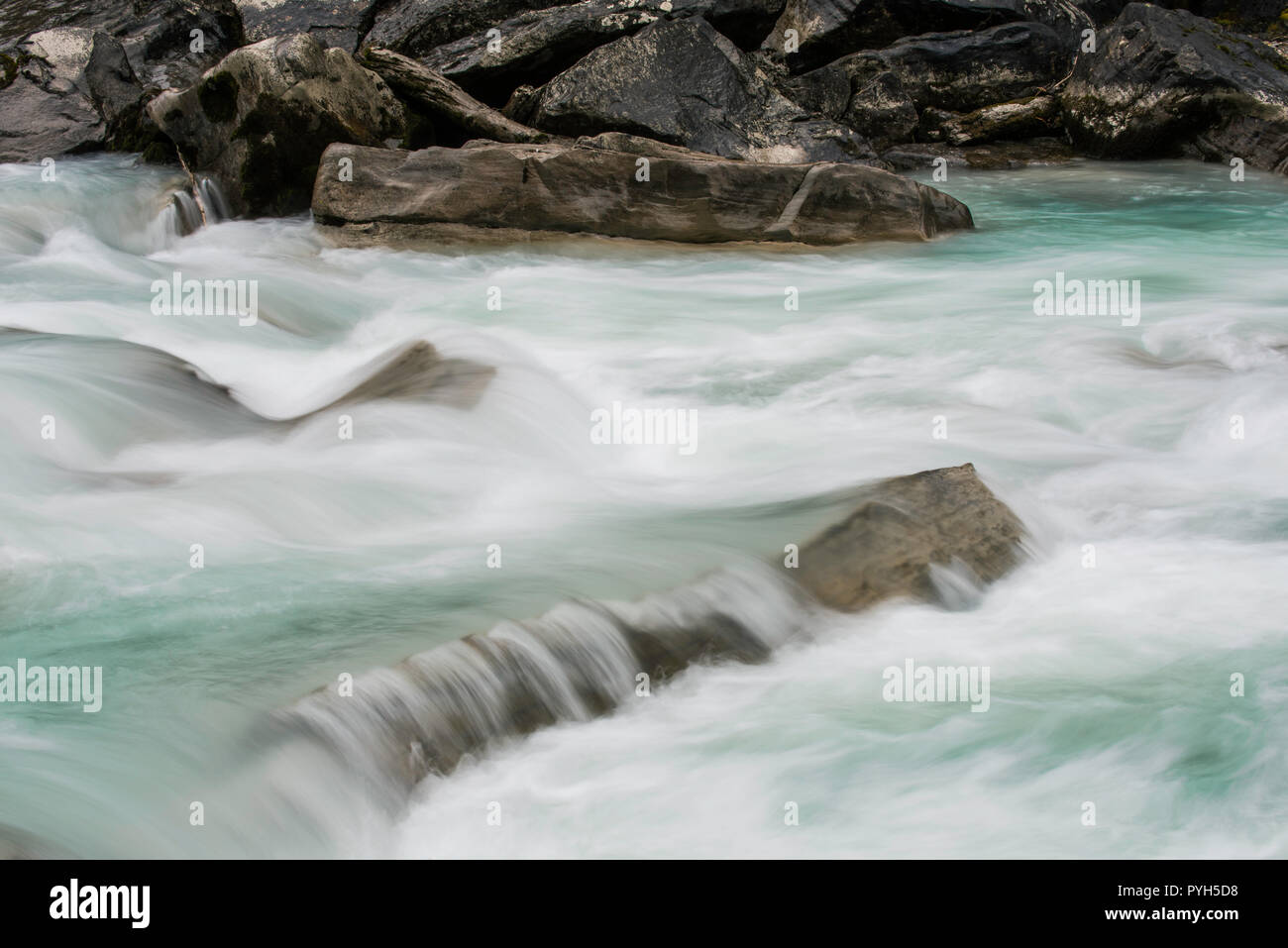 Yoho River, Yoho NP, British Columbia, Kanada, von Bruce Montagne/Dembinsky Foto Assoc Stockfoto