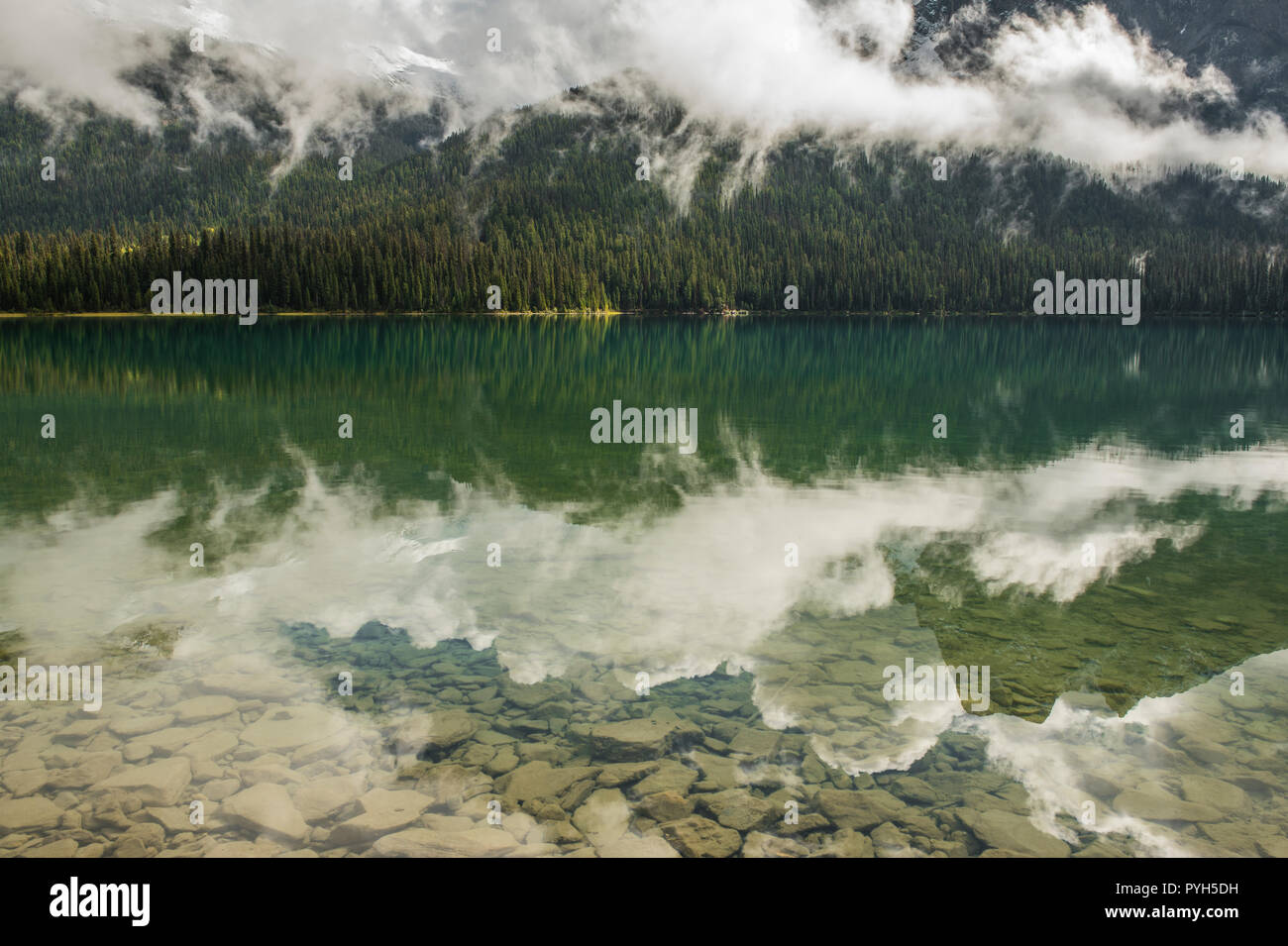 Emerald Lake, Yoho NP, British Columbia, Kanada, von Bruce Montagne/Dembinsky Foto Assoc Stockfoto