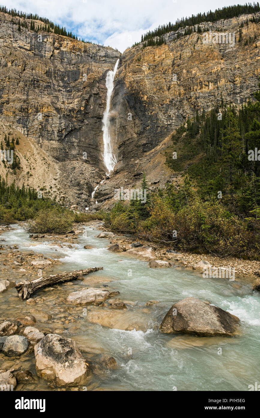 Takkakaw Falls, Yoho NP, British Columbia, Kanada, von Bruce Montagne/Dembinsky Foto Assoc Stockfoto