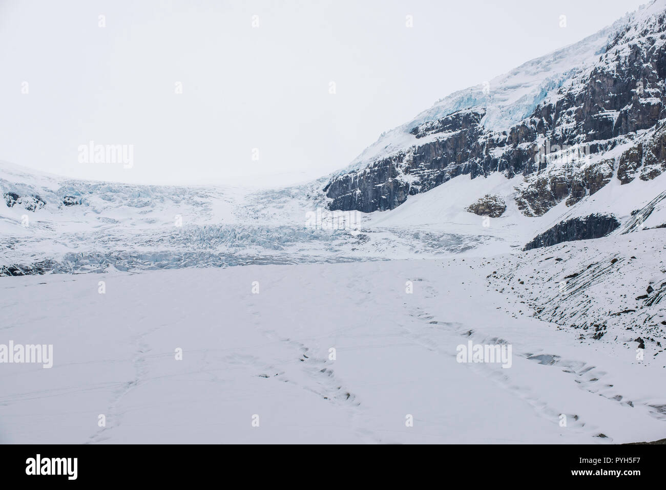 Athabasca Glacier, Jasper NP, Alberta, Kanada, von Bruce Montagne/Dembinsky Foto Assoc Stockfoto