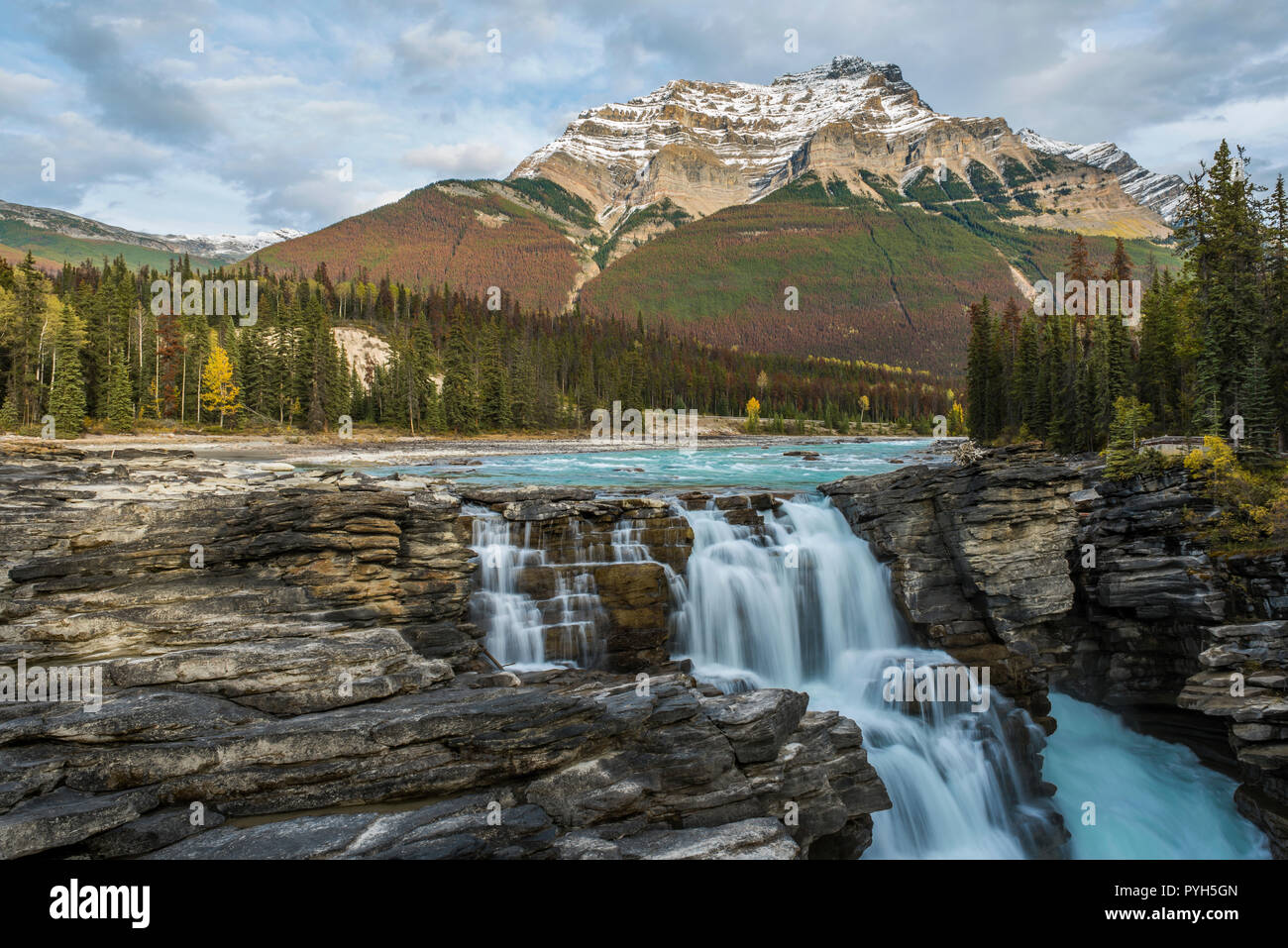 Athabasca Falls, Athabasca River, Jasper NP, Alberta, Kanada, von Bruce Montagne/Dembinsky Foto Assoc Stockfoto