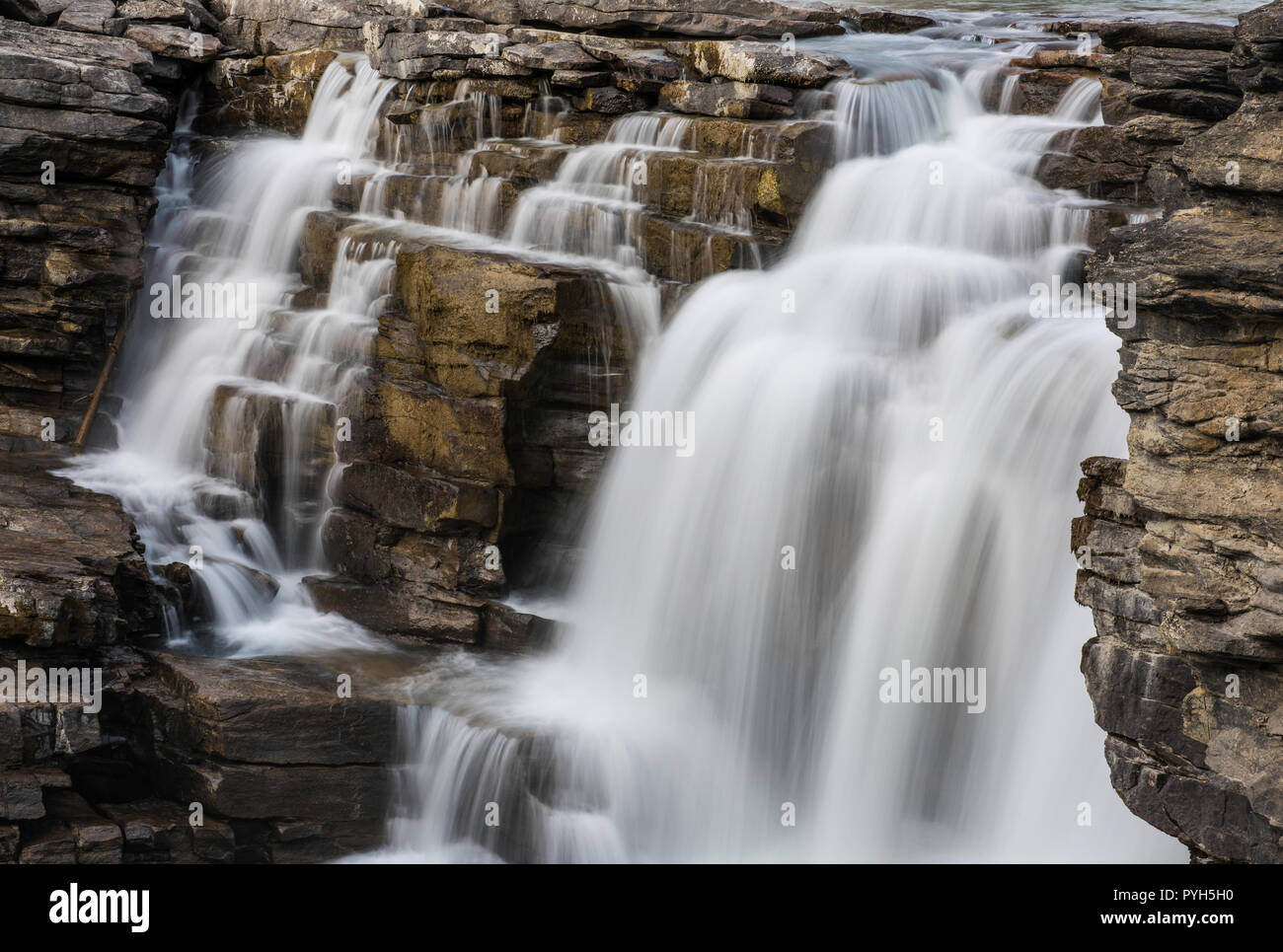 Athabasca Falls, Athabasca River, Jasper NP, Alberta, Kanada, von Bruce Montagne/Dembinsky Foto Assoc Stockfoto