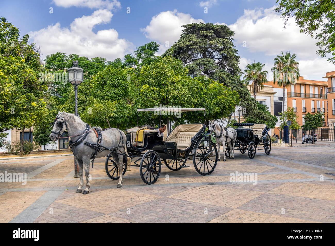 Kutsche/caleche Warten auf Passagiere, Jerez de la Frontera Spanien Stockfoto