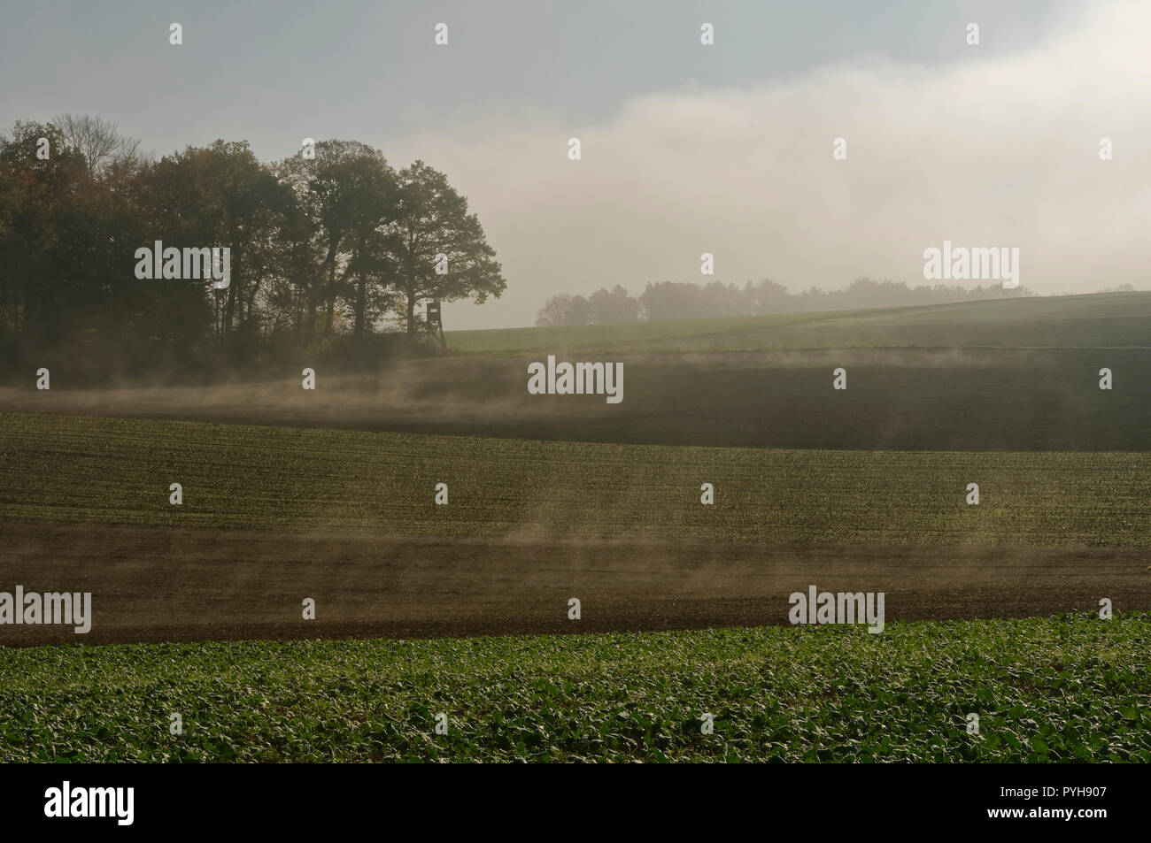 Morgennebel über herbstlichen Feldern bei Duttenbrunn (Teil von Zellingen) im Landkreis Main-Spessart, Unterfranken, Bayern, Deutschland Stockfoto