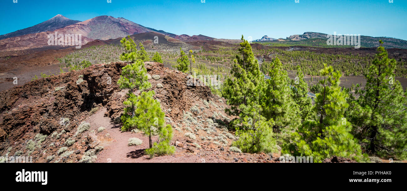 Pico del Teide - spektakuläre Vulkan auf Teneriffa, mit seiner Umgebung Stockfoto