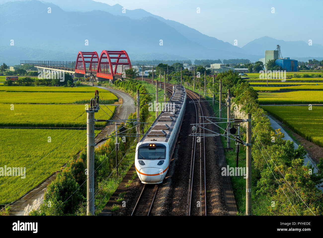 Zug auf dem Feld in yuli, hualien, Taiwan Stockfoto