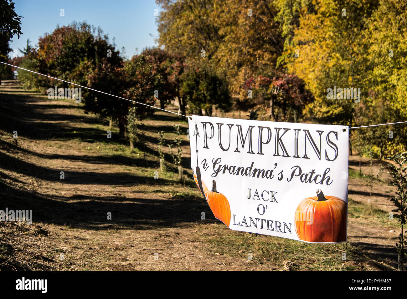 Eingang zu einem Pumpkin Patch; Eiche Glen, Kalifornien, USA Stockfoto