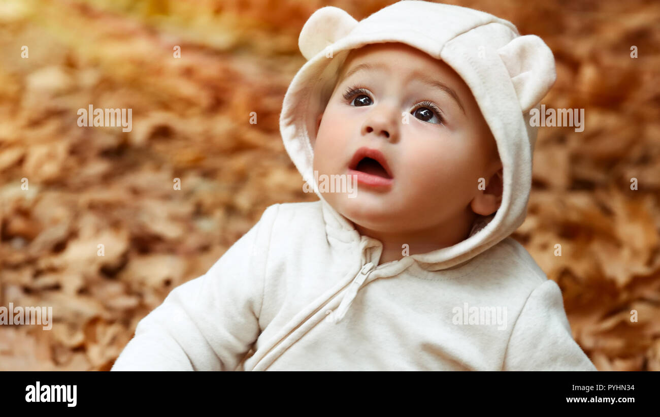 Porträt eines niedlichen kleinen neugierige Junge sitzt auf dem Boden mit trockenen Baum Blätter und mit Staunen, Schauen und genießen Sie die Schönheit des Herbstes Natur abgedeckt Stockfoto