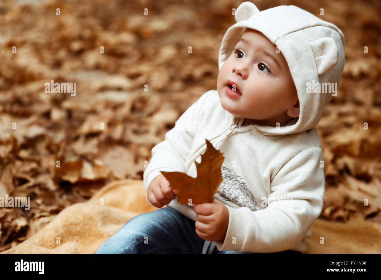 Süßes Baby im Herbst Wald, süßer kleiner Junge sitzt auf dem trockenen Baum Blätter im Park, genießen herbstliche Feiertage, glückliche unbeschwerte Kindheit Stockfoto