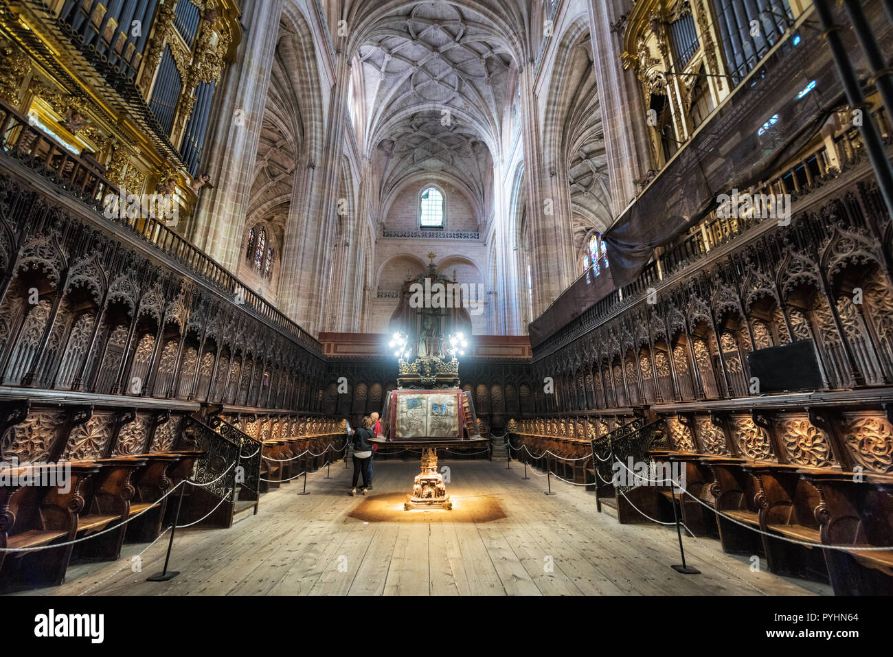 Segovia, Spanien - Oktober 15, 2018: das Innere von Segovia Kathedrale. Stockfoto