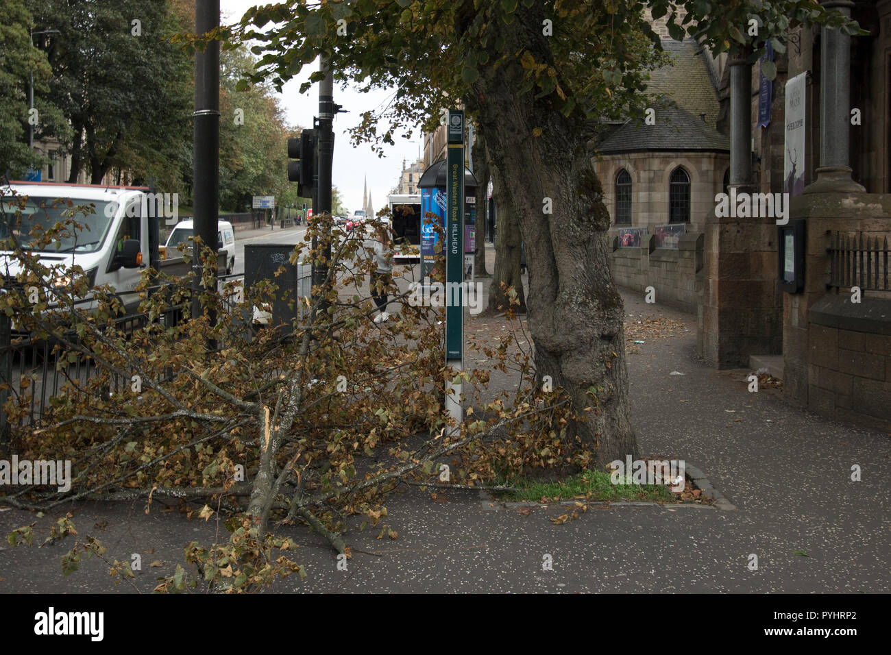 Baum gefällt nach Sturm Ali der Tag vor, Great Western Road, Glasgow, Schottland, September 2018 20. Stockfoto