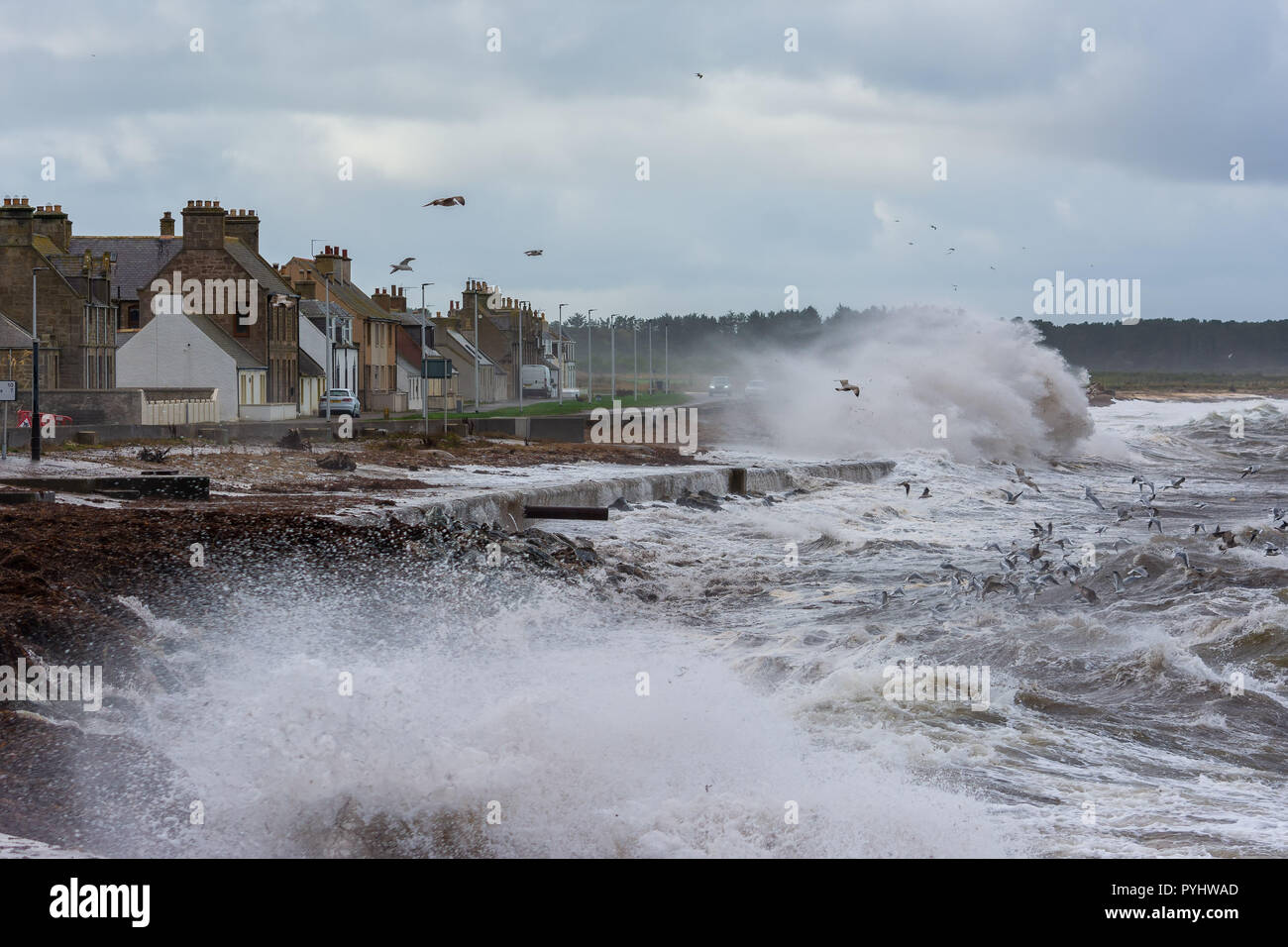 Portgordon, Moray, Schottland, Vereinigtes Königreich Stockfoto