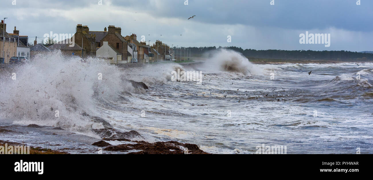 Portgordon, Moray, Schottland, Vereinigtes Königreich Stockfoto