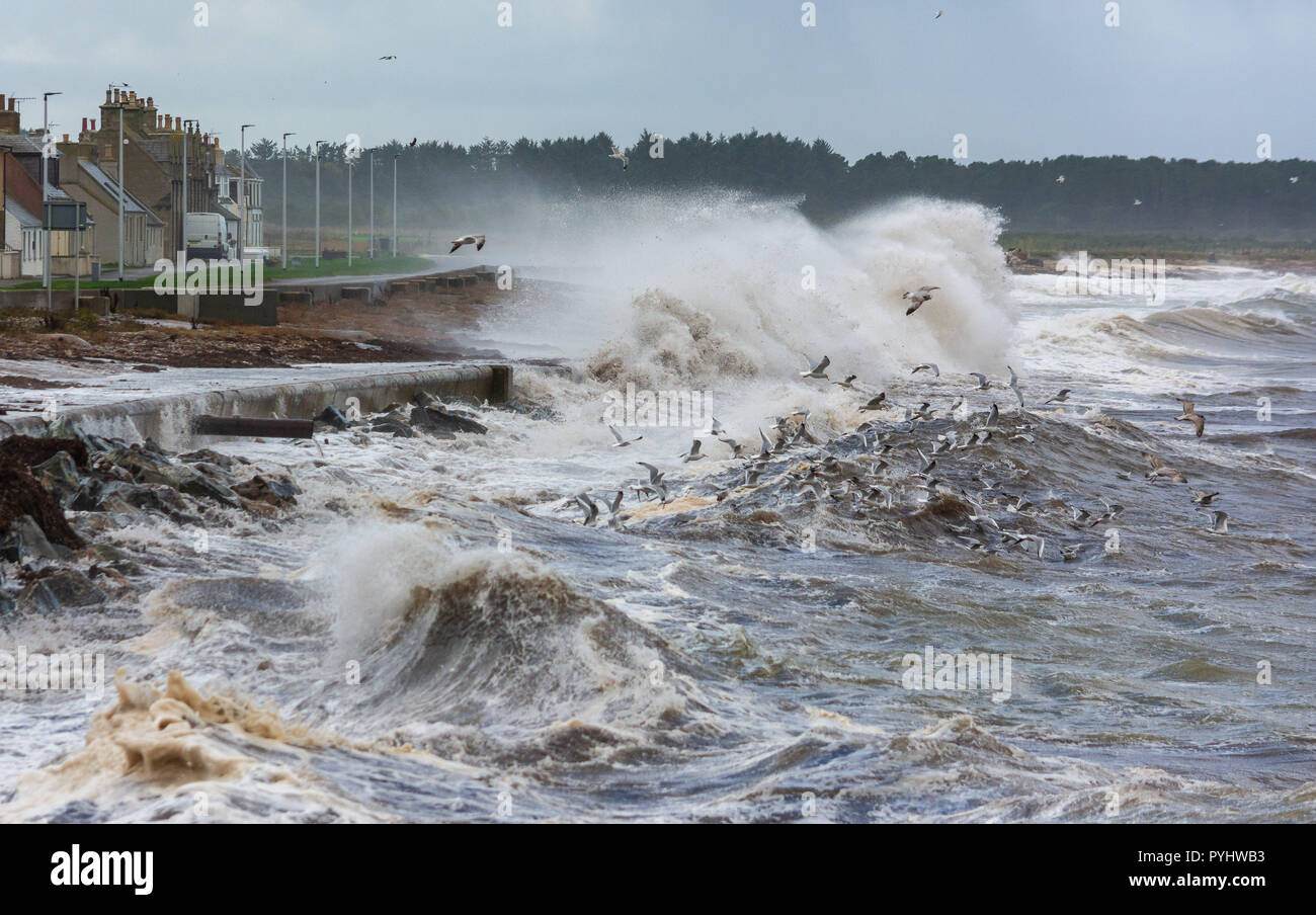 Portgordon, Moray, Schottland, Vereinigtes Königreich Stockfoto