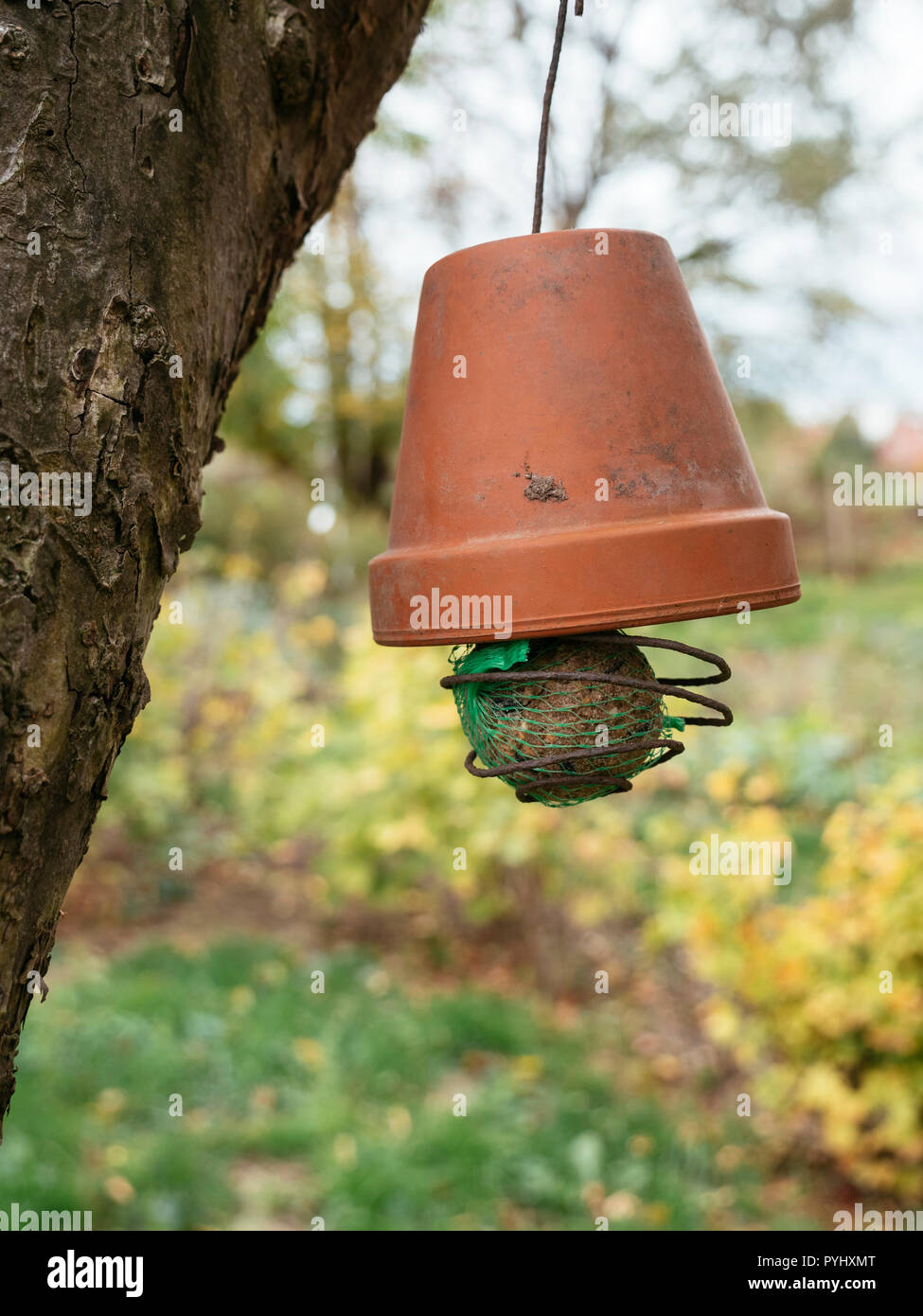 Home weit Kugel Vogelfutter Inhaber eine alte Terrakotta Topf und einige Kabel. Stockfoto
