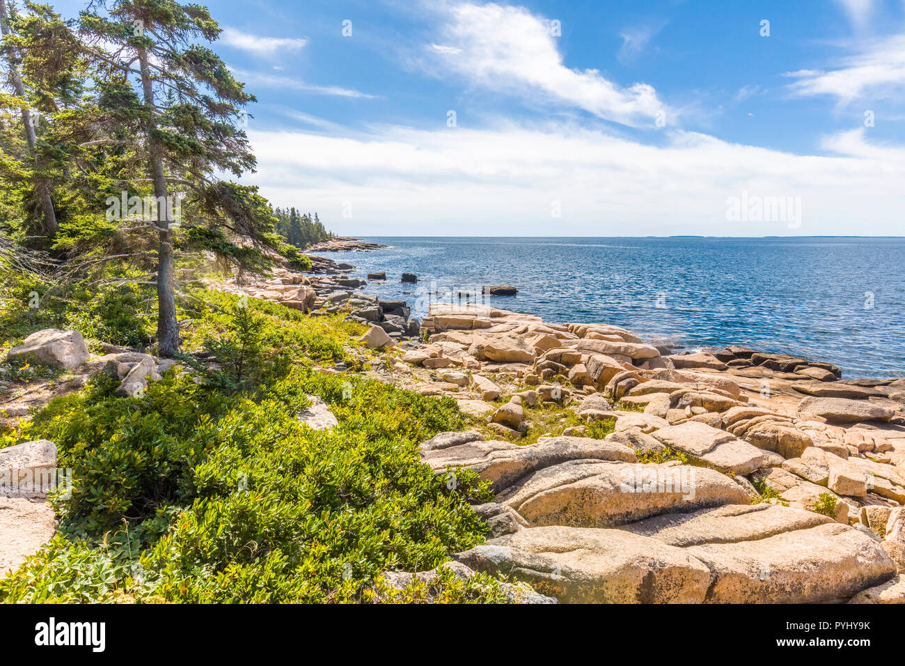 Schoodic Peninsula am Atlantischen Ozean in Acadia National Park an der Küste von Maine in den Vereinigten Staaten Stockfoto