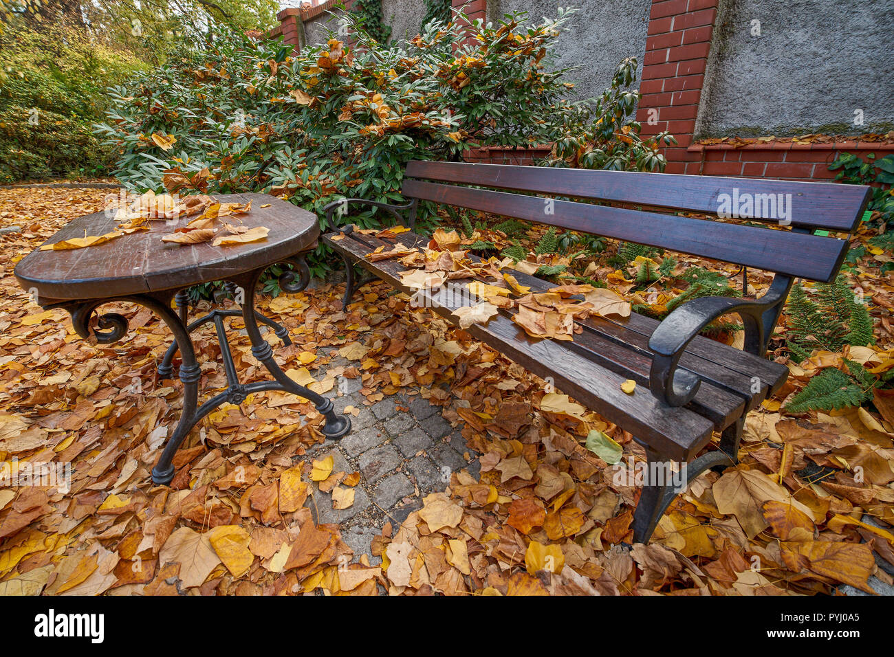 Bank von Ultra Wide Angle Lens verzerrt Stockfoto