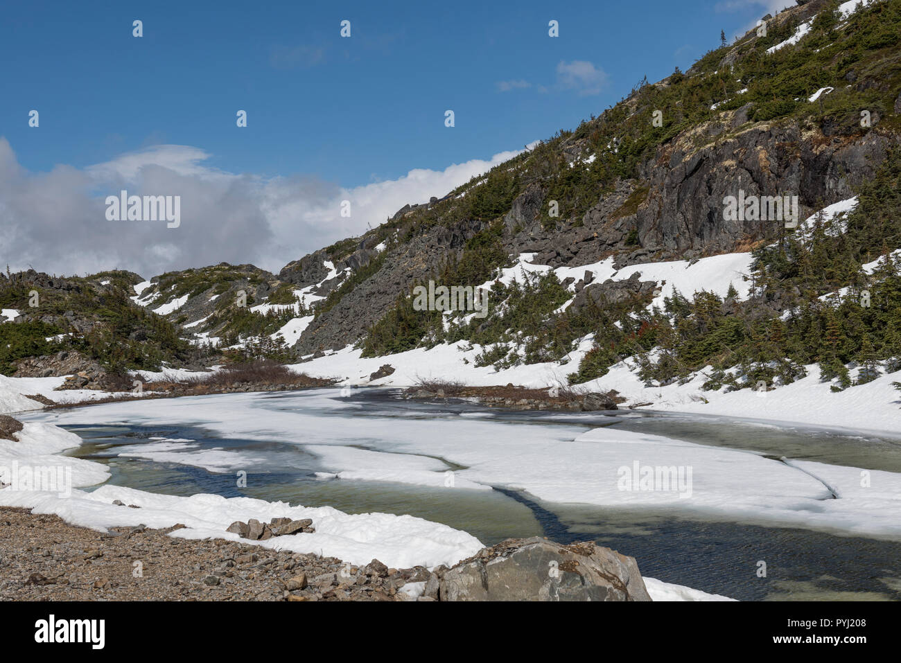 White Pass Summit auf der White Pass und Yukon Route Scenic Railway, Skagway, Alaska, USA Stockfoto