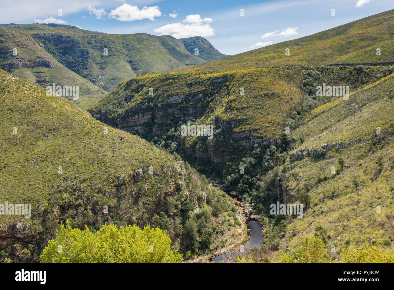 Tradouw Pass, Swellendam, Western Cape, Südafrika Stockfoto