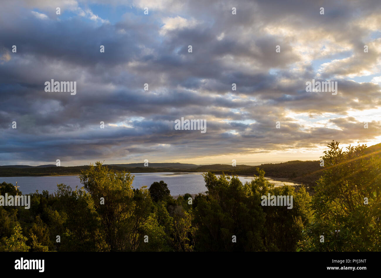 Lagune, wo wild birds Nest, Landschaft bei Sonnenuntergang Stockfoto