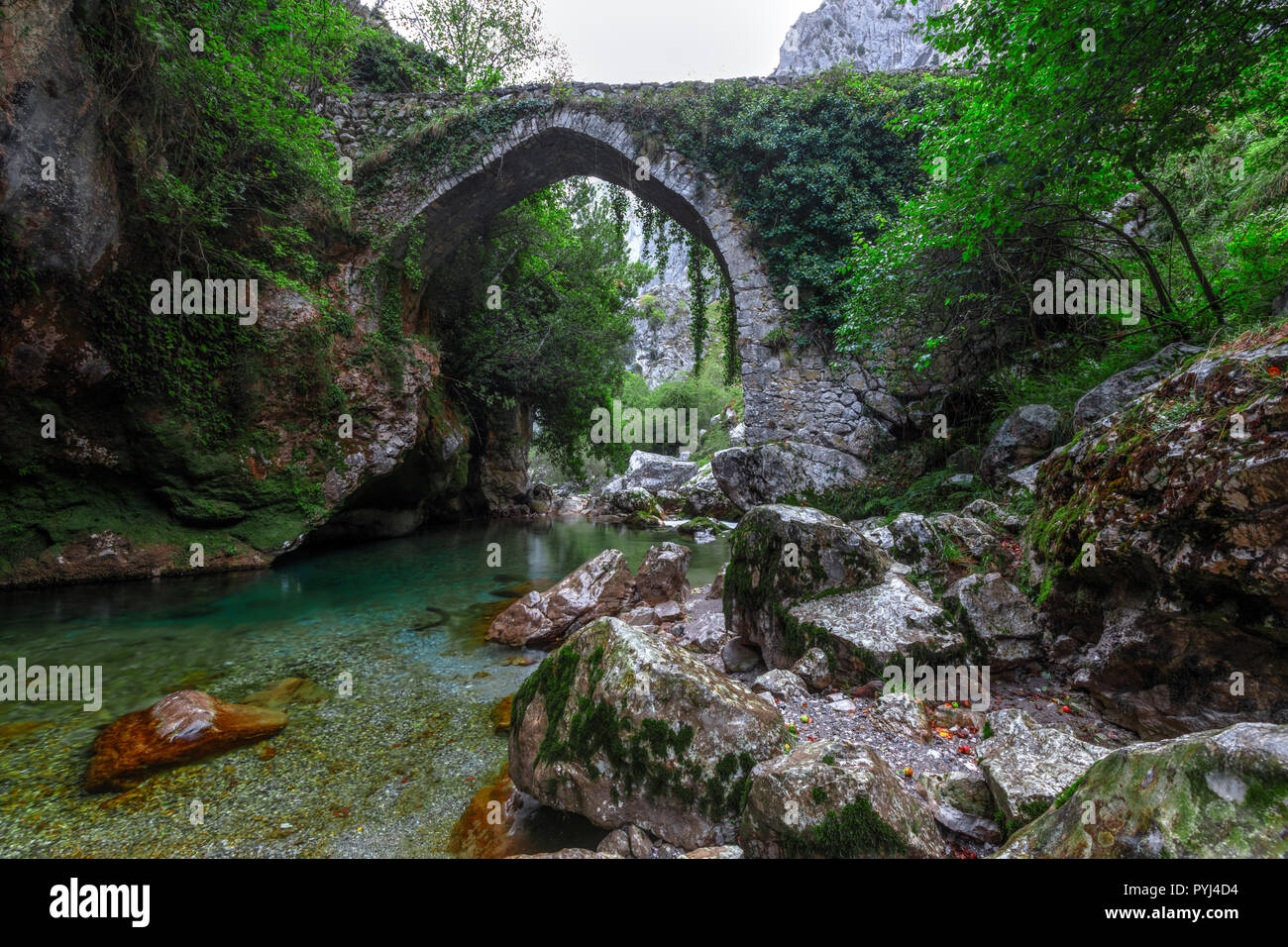 Puente La Jaya, Rio Cares, Picos de Europa, Asturien, Spanien, Europa Stockfoto