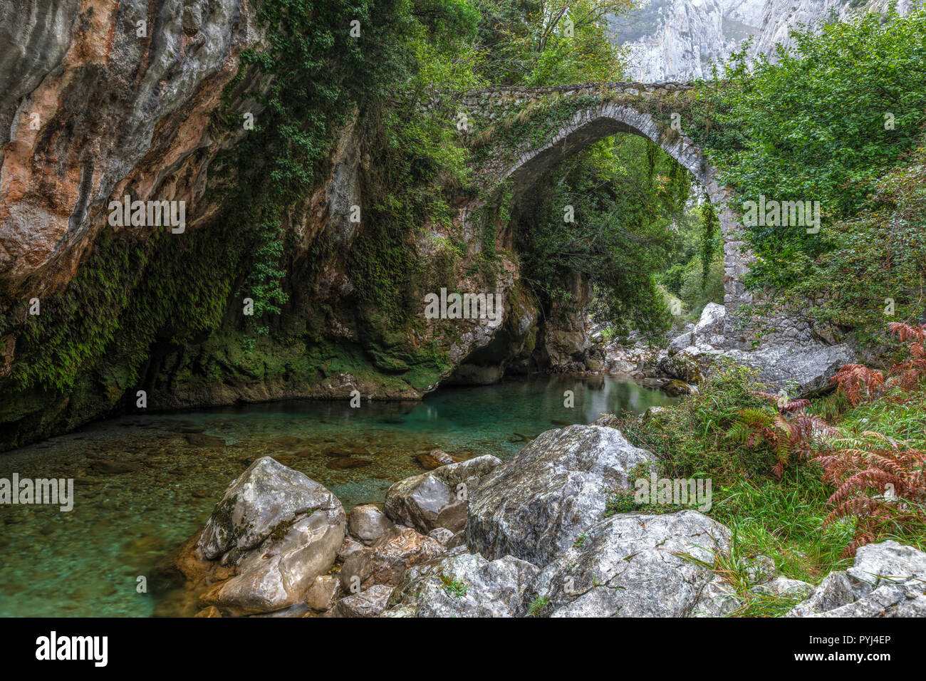 Puente La Jaya, Rio Cares, Picos de Europa, Asturien, Spanien, Europa Stockfoto