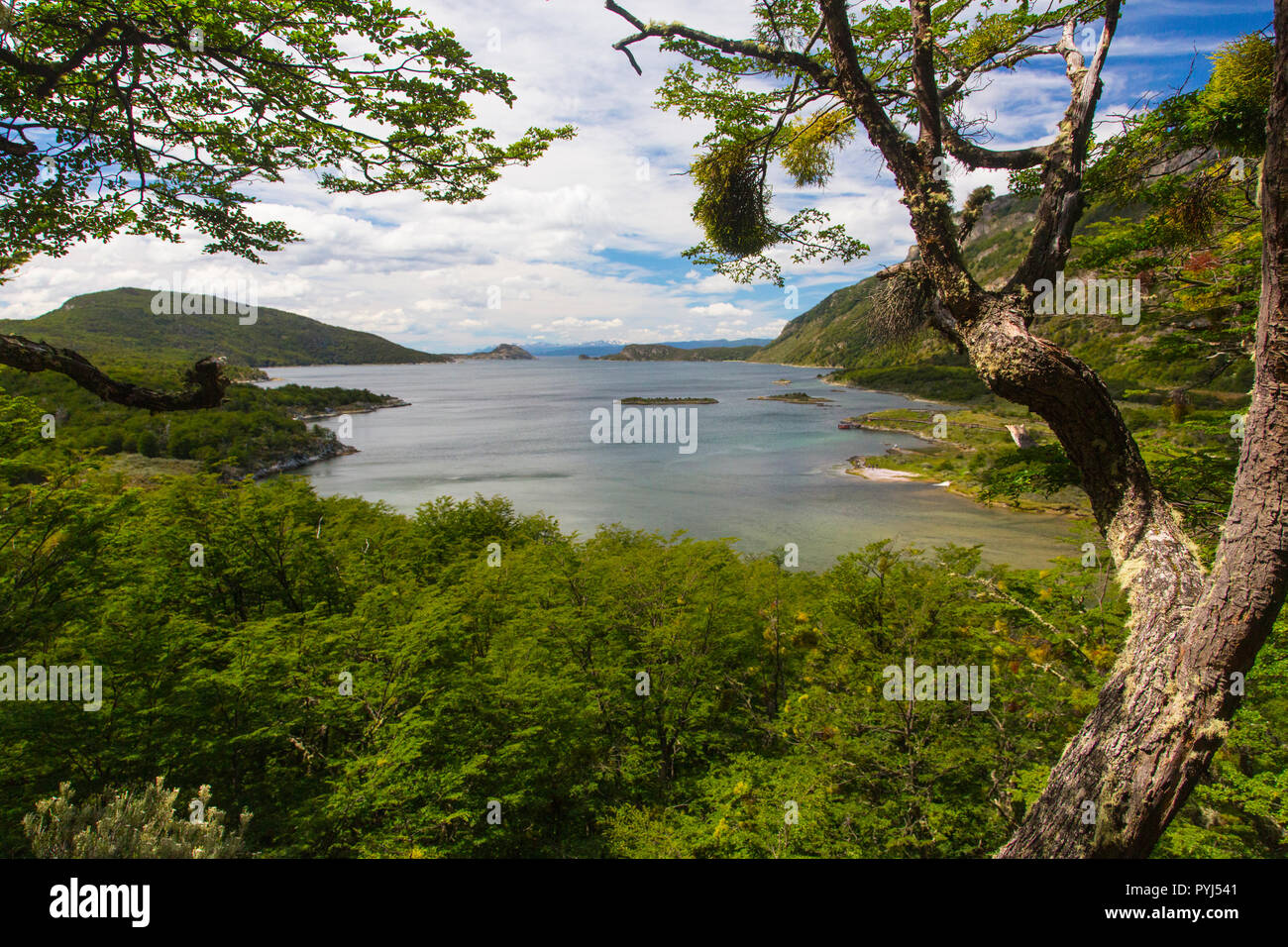 Nationalpark Tierra Del Fuego, Ushuaia, Argentinien. Stockfoto