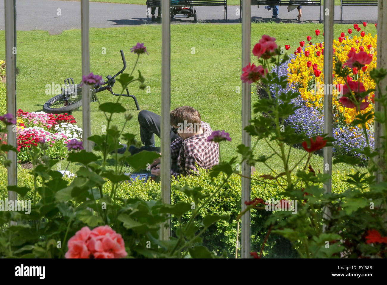 Blick durch das Fenster der Palmhouse in Botanischen Gärten Belfast im Sommer 2018 mit einem Mann liegen entspannt auf einem Park Rasen. Stockfoto