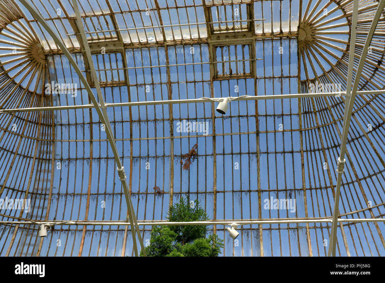 Bügeleisen Struktur und Dach des Palmenhaus im Botanischen Garten in Belfast. Stockfoto