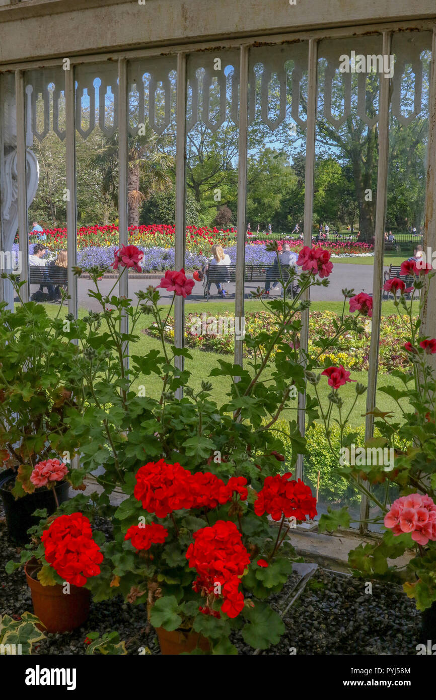 Blick von der Innenseite der Palmenhaus im Botanischen Garten in Belfast. Stockfoto